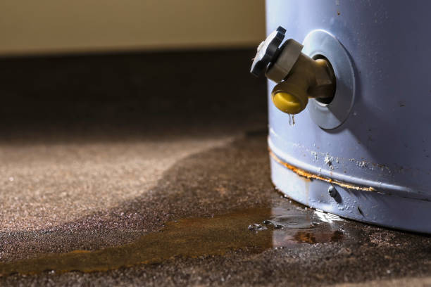 Best 24-hour water damage restoration  in Byron Center, MI