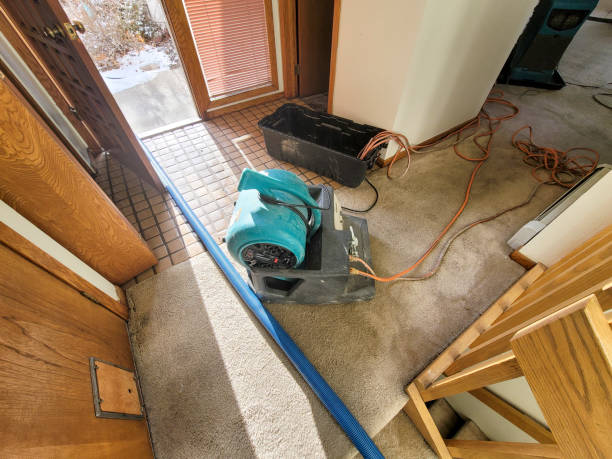 Best Mold removal after water damage  in Byron Center, MI