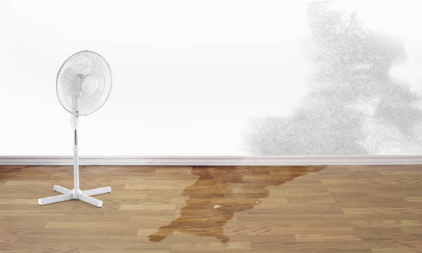 Best Fire Damage Restoration  in Byron Center, MI