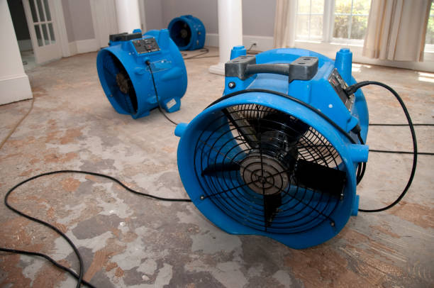 Best Basement water damage restoration  in Byron Center, MI