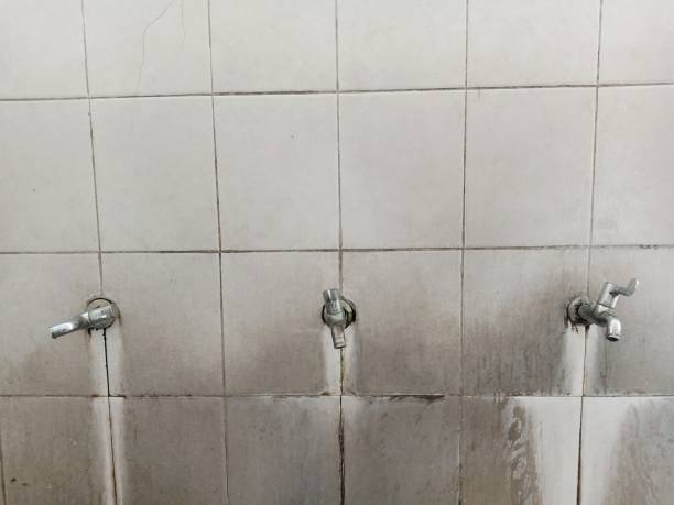 Best Carpet water damage restoration  in Byron Center, MI