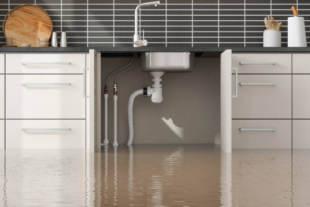 Best 24/7 water damage repair  in Byron Center, MI
