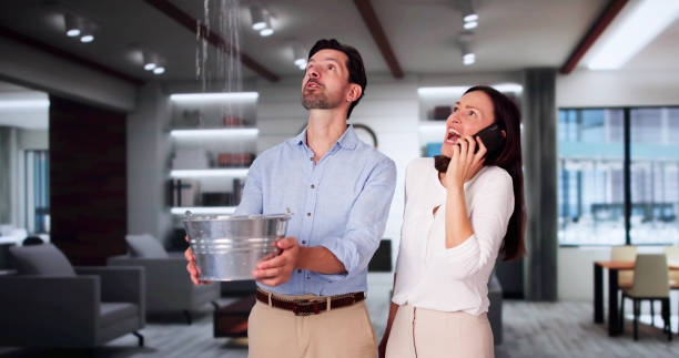 Best Ceiling water damage repair  in Byron Center, MI