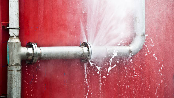 Water damage restoration experts in MI